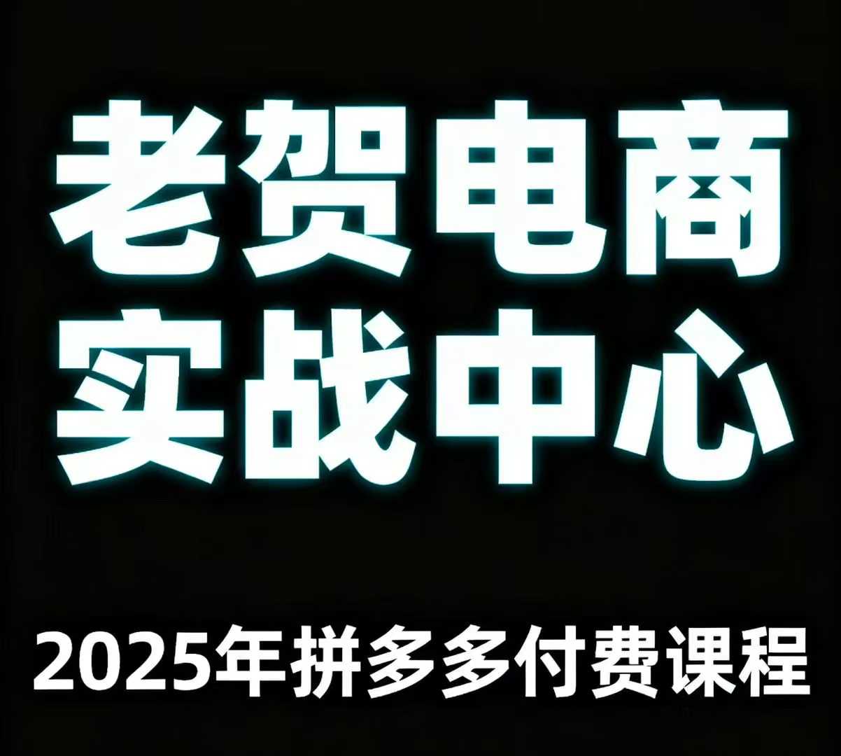 老贺电商2025年拼多多付费课程，用通俗易懂的方法告诉你多多怎么玩-藏宝阁