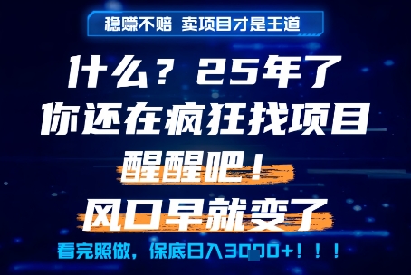 什么？25年你还在疯狂找项目做，醒醒吧，看完这些你全都懂了！【揭秘】-藏宝阁