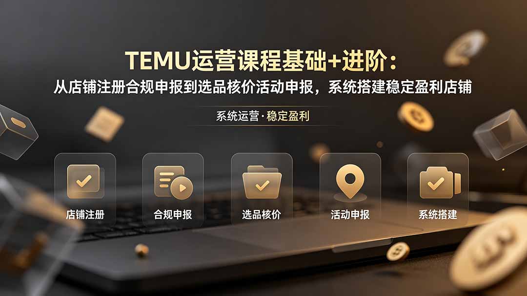 TEMU运营课程(基础+进阶-藏宝阁