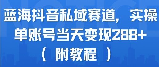 蓝海抖音私域赛道，实操单账号当天变现288+(附教程)-藏宝阁