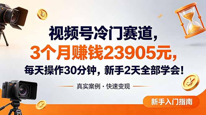 视频号冷门赛道，3个月变现23905元，新手2天学会 每天操作30分钟！-藏宝阁