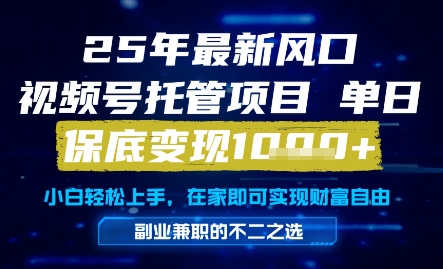 25年最新风口，视频号托管项目，单日保底变现1k+，手把手教学【揭秘】-藏宝阁