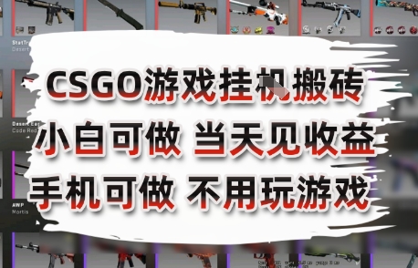 CSGO游戏挂G搬砖，小白纯手机即可操作，不用电脑打游戏，日入3张+，副业网创项目【揭秘】-藏宝阁