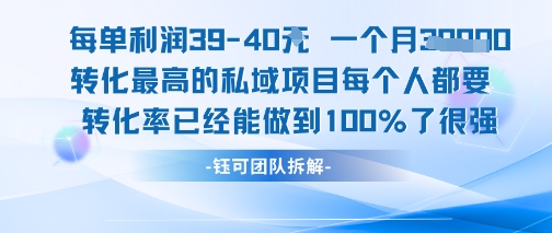 每单利润40一个月7k+转化最高的私域项目，每个人都要的产品转化率已经能做到100%-藏宝阁