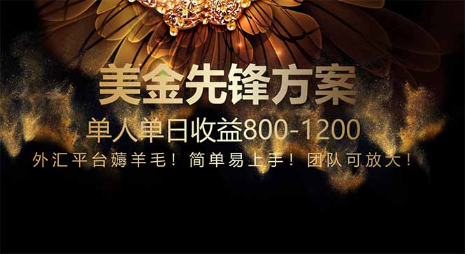 免费技术！小众赛道！一年布局抵三年努力，每日800+-藏宝阁