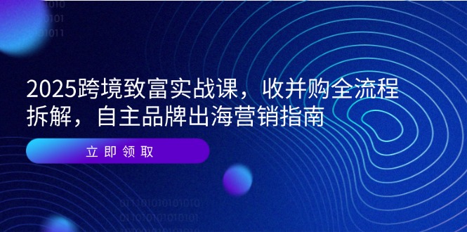2025跨境致富实战课，收并购全流程拆解，自主品牌出海营销指南-藏宝阁