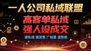 一人公司私域联盟，高客单私域，强人设成交，建私域 搞发售 广结盟 造势能-藏宝阁