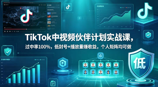 TikTok中视频伙伴计划实战课，过中率100%，低封号+播放量賺收益，个人矩阵均可做-藏宝阁