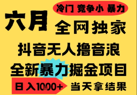 25年6月高爆抖音无人直播最新撸音浪掘金项目，小白可做，无脑日入1k+，门槛低可批量矩阵【揭秘】-藏宝阁