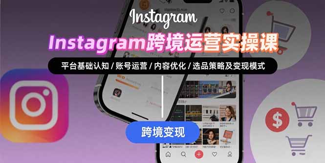 Instagram跨境运营实战：平台认知/账号运营/内容优化/选品策略及变现模式-藏宝阁