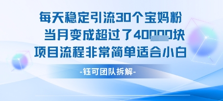 每天稳定引流30个人 当月变成超过了4个W项目流程非常简单适合小白-藏宝阁