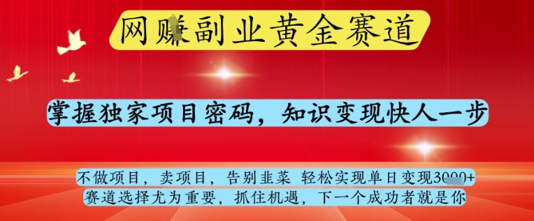 网创副业黄全赛道，掌握独家项目密码，知识变现快人一步，告别韭菜轻松实现单日变现1k+【揭秘】-藏宝阁