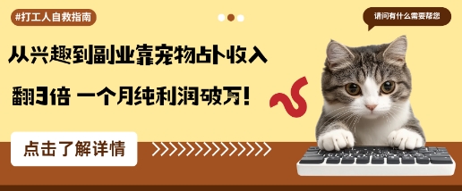 从兴趣到副业靠宠物占卜收入翻3倍一个月纯利润破W-藏宝阁