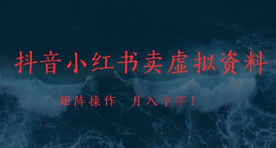 抖音小红书卖虚拟资料，市场需求一直存在，矩阵操作，月入1w+-藏宝阁