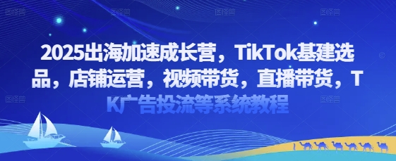 2025出海加速成长营，TikTok基建选品，店铺运营，视频带货，直播带货，TK广告投流等系统教程-藏宝阁