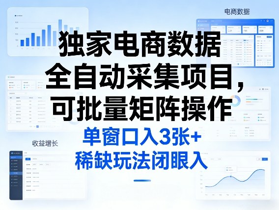 独家电商数据全自动采集项目，可批量矩阵操作，单窗口日入3张+，稀缺玩法闭眼入【揭秘】-藏宝阁