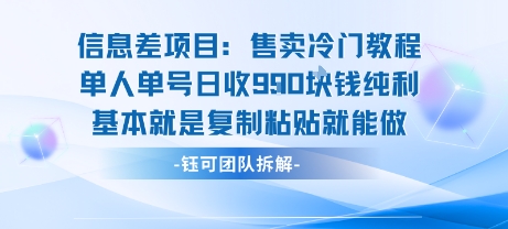 信息差项目：售卖冷门教程单人单号日收9张纯利基本就是复制粘贴就能做-藏宝阁