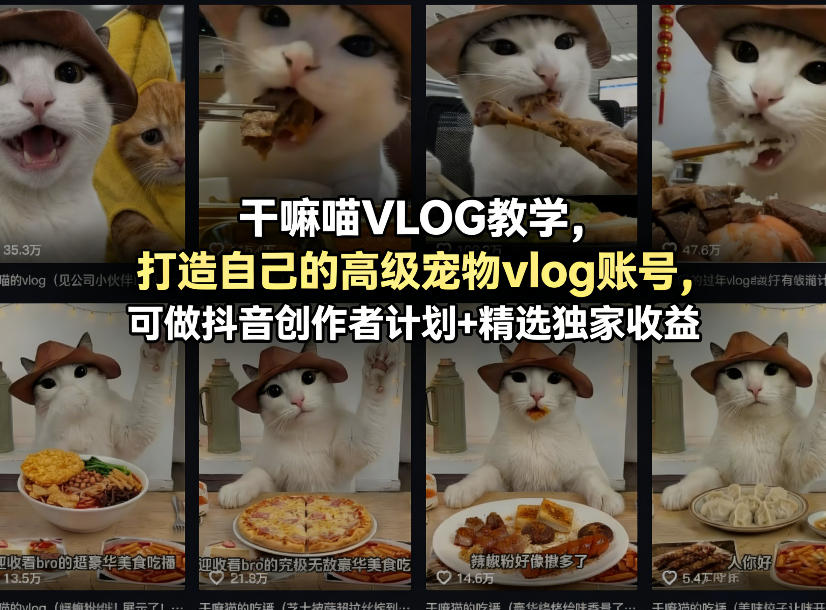 干嘛喵VLOG教学，打造自己的高级宠物vlog账号，可做抖音创作者计划+精选独家收益-藏宝阁