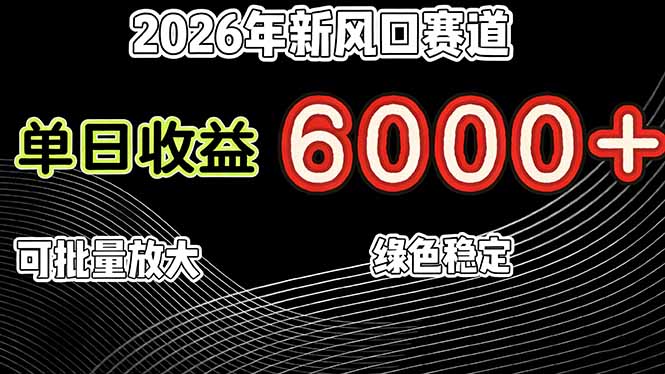 2026年新风口赛道，当日6000+以上，可批量放大，月收入20万+，长期绿色稳定的项目-藏宝阁
