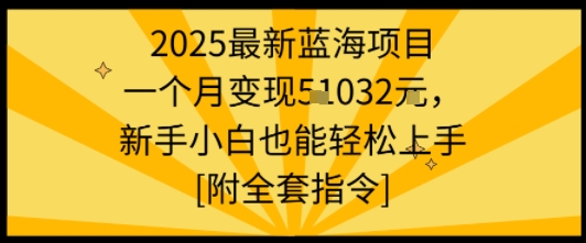 2025最新蓝海项目一个月变现1w+新手小白也能轻松上手【附全套指令】-藏宝阁