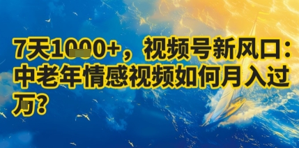 7天收益1k+，视频号新风口：中老年情感视频如何月入过W?-藏宝阁