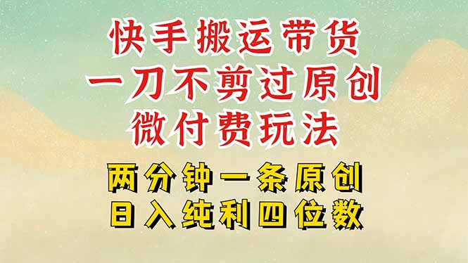 快手黑科技搬运带货，一刀不剪过原创，微付费投流玩法，轻松日入四位数…-藏宝阁