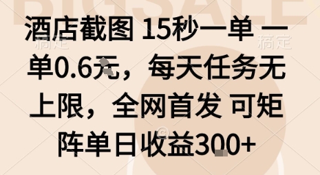 酒店截图15秒一单，一单0.6米，每天任务无上限，全网首发可矩阵单日收益3张【揭秘】-藏宝阁