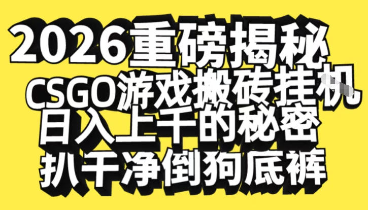2026开年重磅解密，CSGO游戏搬砖挂G日入1k+的秘密，把倒狗的底裤扒干【揭秘】-藏宝阁