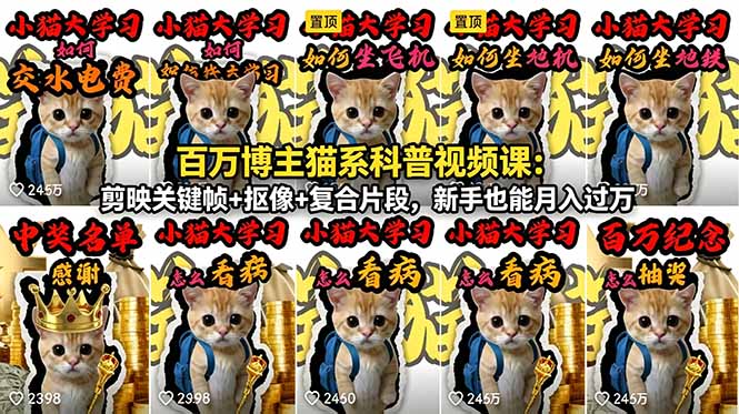 百万博主猫系科普视频课：剪映关键帧+抠像+复合片段，新手也能月入过万-藏宝阁