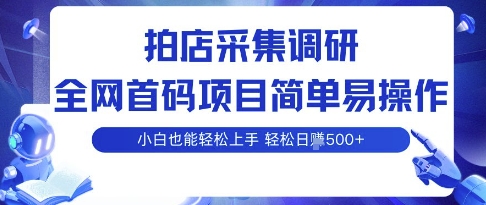 拍店采集调研，全网首码项目，简单易操作， 小白也能轻松上手，多账号操作，轻松日入5张【揭秘】-藏宝阁