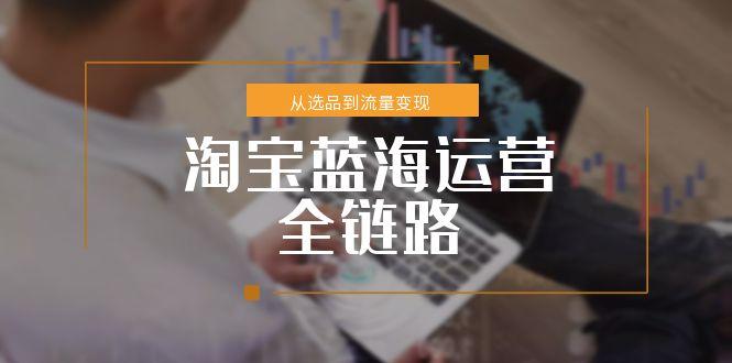 淘宝蓝海运营全链路，从选品到流量变现，小类目突围完整方案-藏宝阁