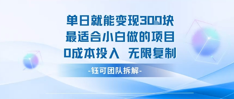 单日就能变现3张最适合小白做的项目0成本投入 无限复制-藏宝阁