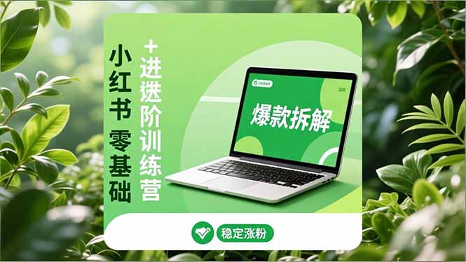 小红书零基础+高阶训练营：安全养号、爆款拆解、长效运营，实现稳定涨粉与变现-藏宝阁