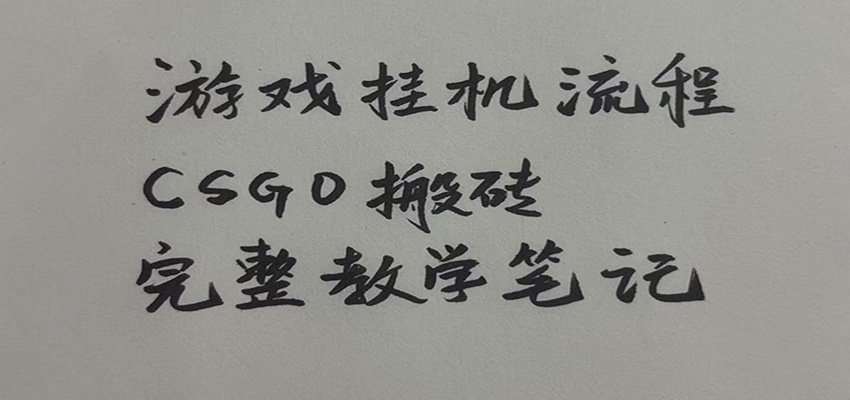 游戏挂机全流程笔记分享，CSGO游戏搬砖，小白看了当天学会见收益-藏宝阁