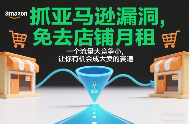 抓亚马逊漏洞，免去店铺月租，一个流量大竞争小，让你有机会成大卖的赛道-藏宝阁