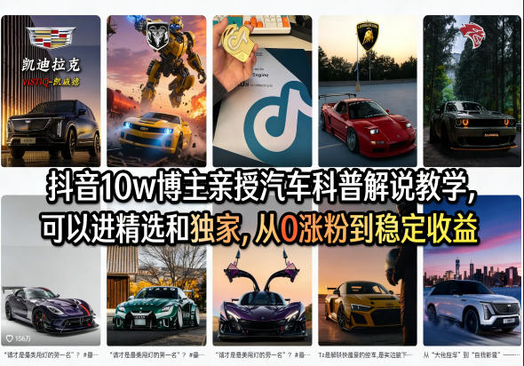 抖音10w博主亲授汽车科普解说教学，可以进精选和独家，从0涨粉到稳定收益(详细视频课程+1T素材)-藏宝阁