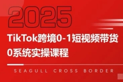 TikTok跨境0-1短视频带货，系统拆解TikTok跨境带货全链路，实现跨境可持续盈利-藏宝阁
