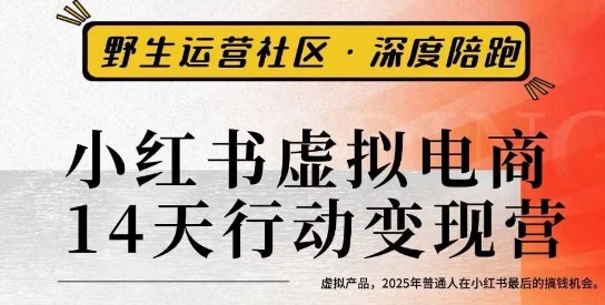 小红书虚拟电商14天变现训练营3.0，​虚拟产品，2025年普通人在小红书最后的搞钱机会-藏宝阁