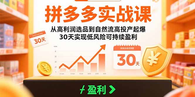 拼多多实战课：从高利润选品到自然流高投产起爆 30天实现低风险可持续盈利-藏宝阁