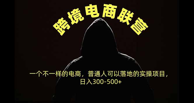 跨境电商联营，一个不一样的电商，普通人可操作日入300-500+-藏宝阁