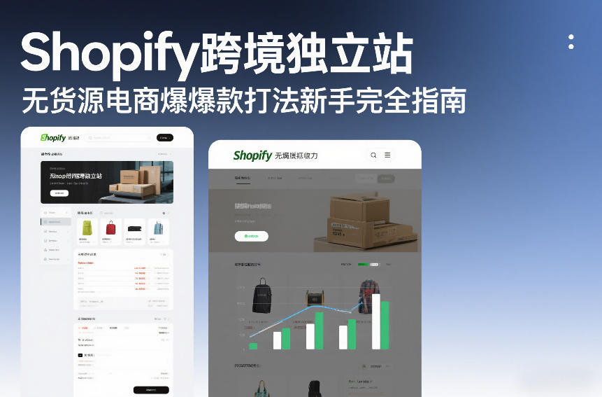 Shopify跨境独立站无货源电商爆款打法新手完全指南-藏宝阁