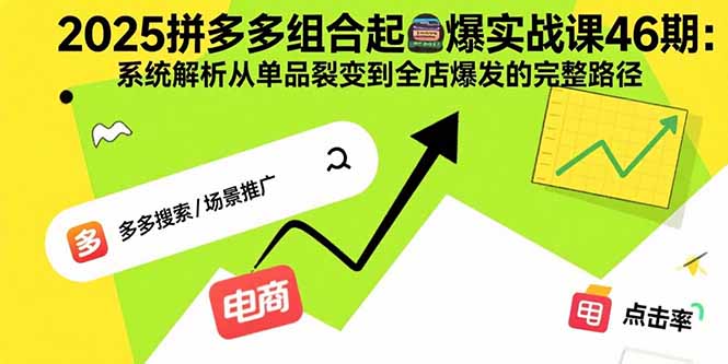 2025拼多多组合起爆实战课46期：系统解析从单品裂变到全店爆发的完整路径-藏宝阁