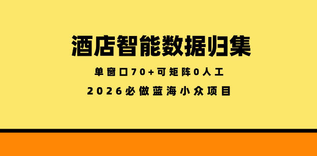 酒店智能数据归集，小众蓝海已经稳定半年之久，单窗口70+零成本矩阵开干【揭秘】-藏宝阁