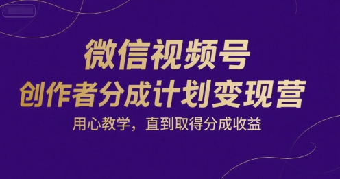 微信视频号创作者分成计划变现营，用心教学，直到取得分成收益-藏宝阁