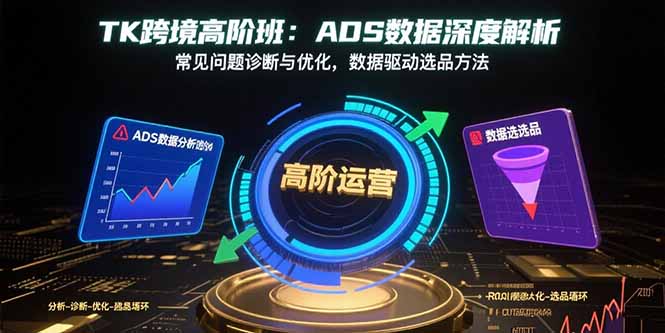TK跨境高阶班：ADS数据深度解析，常见问题诊断与优化，数据驱动选品方法-藏宝阁