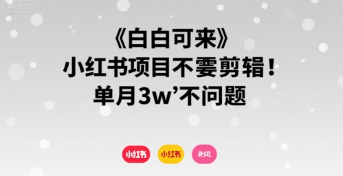 小白可来 小红书项目不需要剪辑 单月3w不是问题-藏宝阁