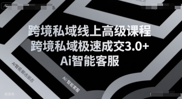 跨境私域线上高级课程，跨境私域极速成交3.0+Ai智能客服-藏宝阁