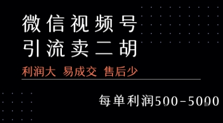 视频号卖二胡教程，利润大 易成交 售后少，一单利润5张+-藏宝阁