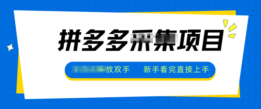 拼多多电商采集，一小时50+，操作简单，零投资-藏宝阁