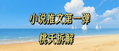 小说推文项目操作全流程第一弹，0粉就能做，门槛低非常适合新手-藏宝阁